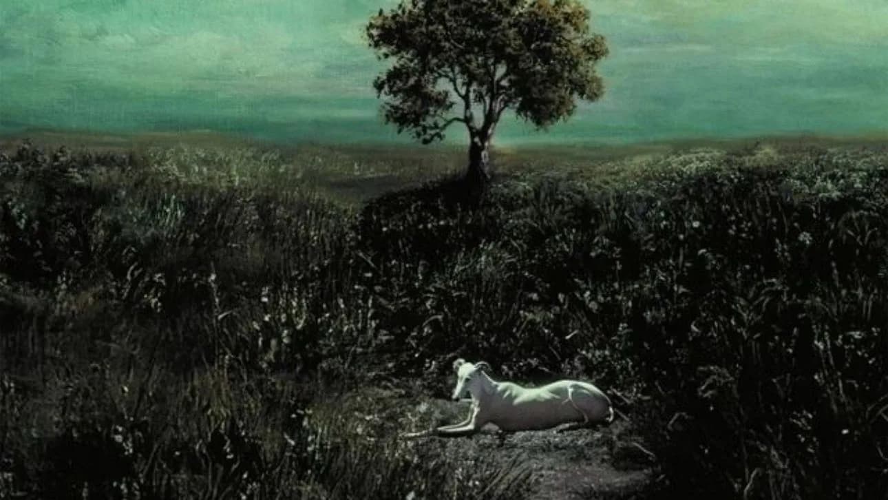 El tiempo del campo en la escena escrita